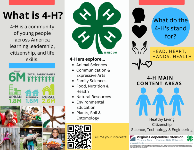 What is 4-H? 