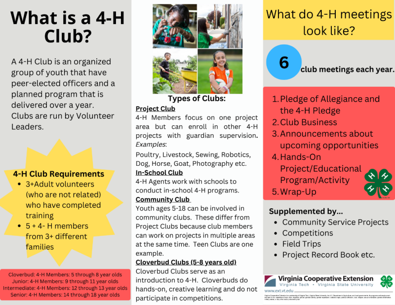 What is a 4-H Club? 