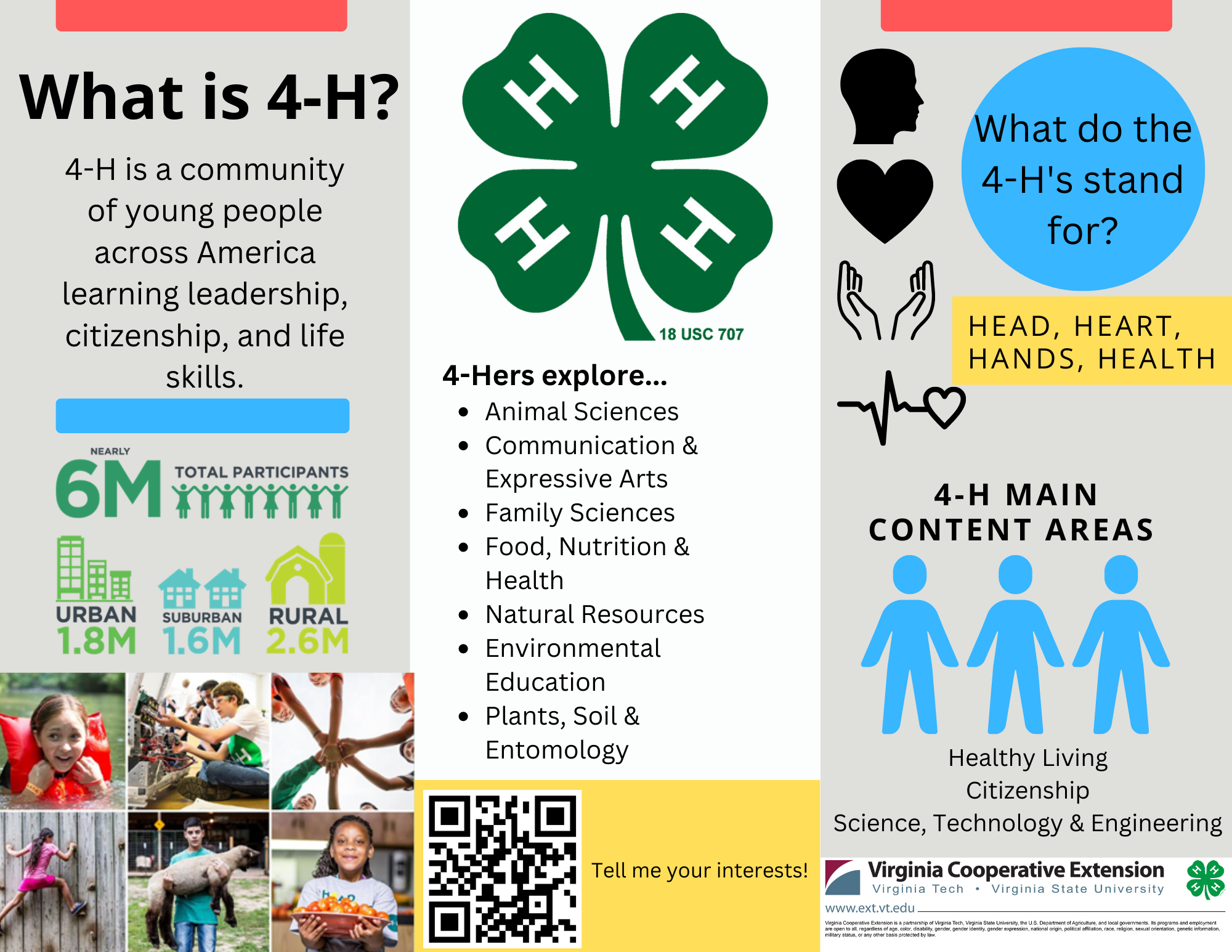 Carroll County 4 H Carroll County Virginia Tech
